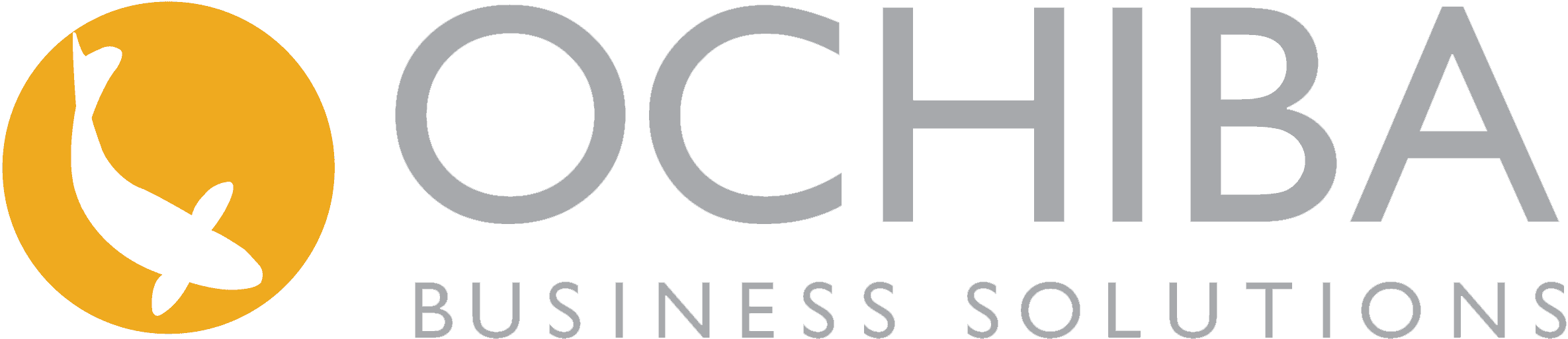 Ochiba focuses exclusively on SAP Business One predominately for Manufacturing, Service, and Distribution. We specialize in development and integration and providing a high degree of fit for our clients with first class customer service